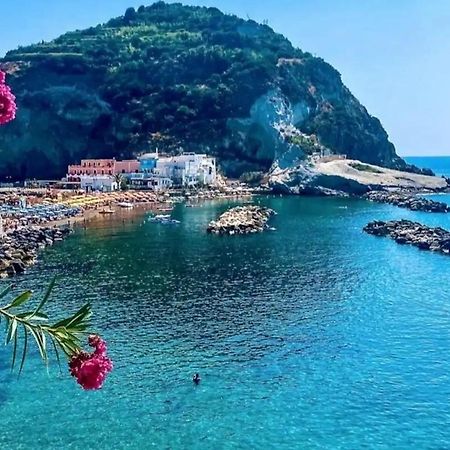 Mare Nostrum - Beachfront House - Sant'Angelo Ischia Экстерьер фото