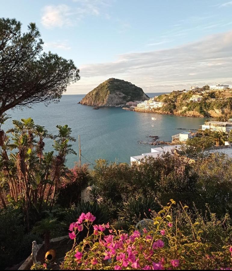 Mare Nostrum - Beachfront House - Sant'Angelo Ischia Экстерьер фото