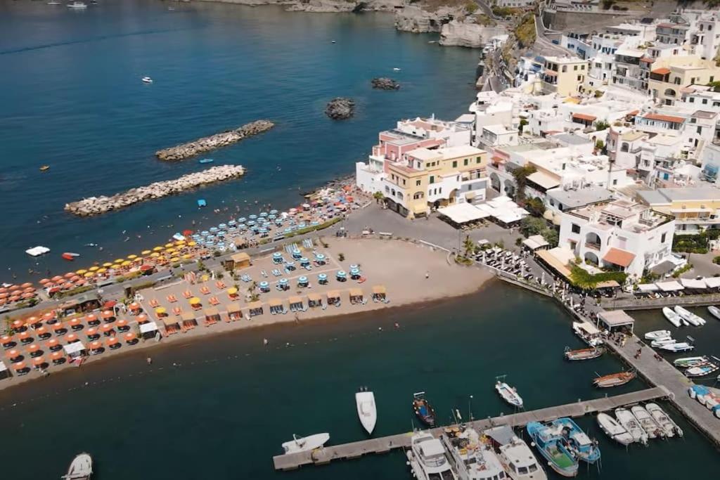 Mare Nostrum - Beachfront House - Sant'Angelo Ischia Экстерьер фото